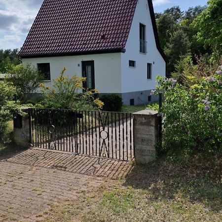 Mecklenburgische Seenplatte - Fh Mit Optionalem Steg Und Ruderboot Grosszerlang Dış mekan fotoğraf